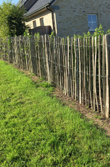 clotures en bois chataignier
